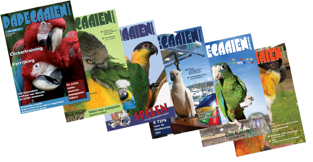 Deze afbeelding heeft een leeg alt-attribuut; de bestandsnaam is paegaaien-journaal-1024x530.png